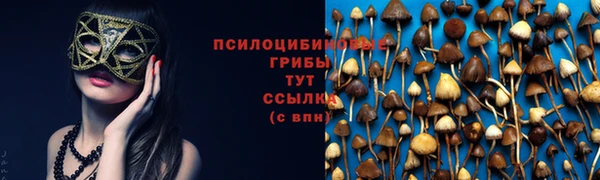 гашиш Пересвет