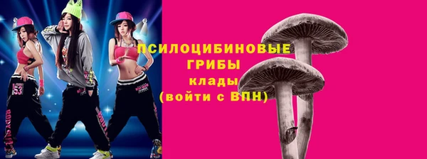 ПСИЛОЦИБИНОВЫЕ ГРИБЫ Горняк