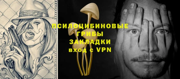 амф Горнозаводск
